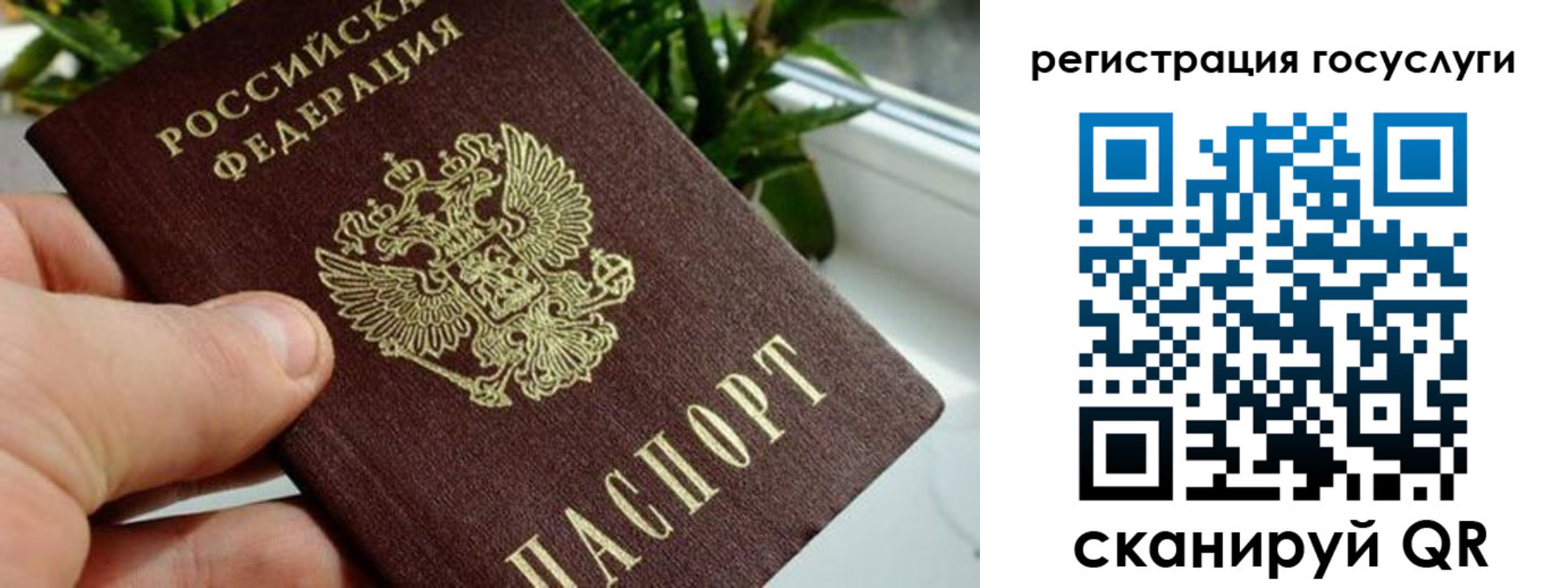 прописка для кредита в Острогожске